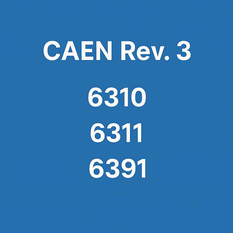 Infografic simplu pe fundal albastru cu titlul CAEN Rev. 3 și codurile 6310, 6311, 6391 afișate central cu text alb.